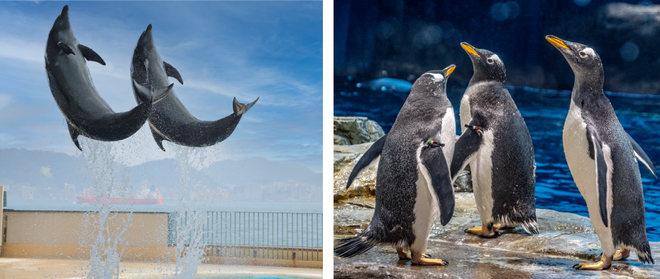 海峡プラザ　介写真01